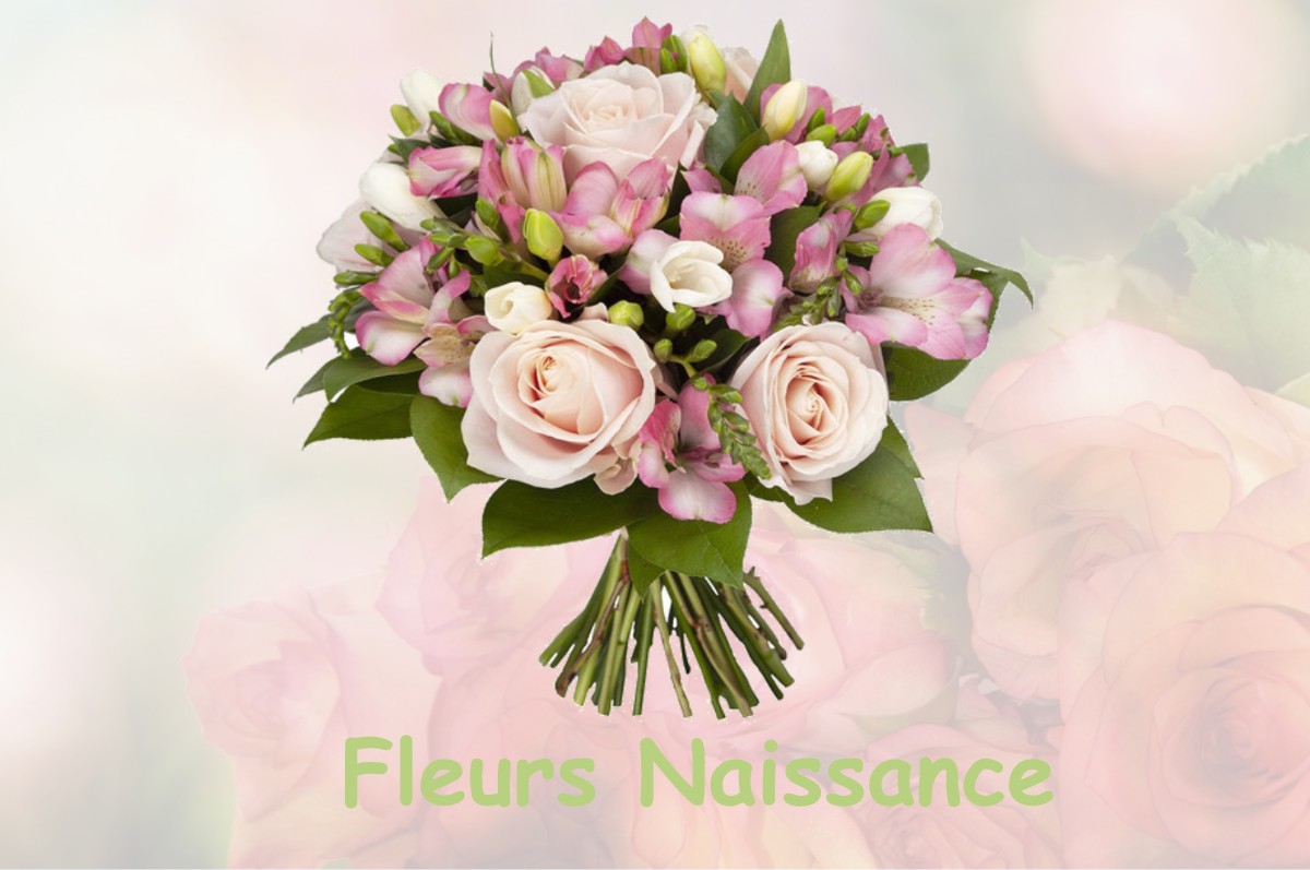 fleurs naissance LA-FALOISE